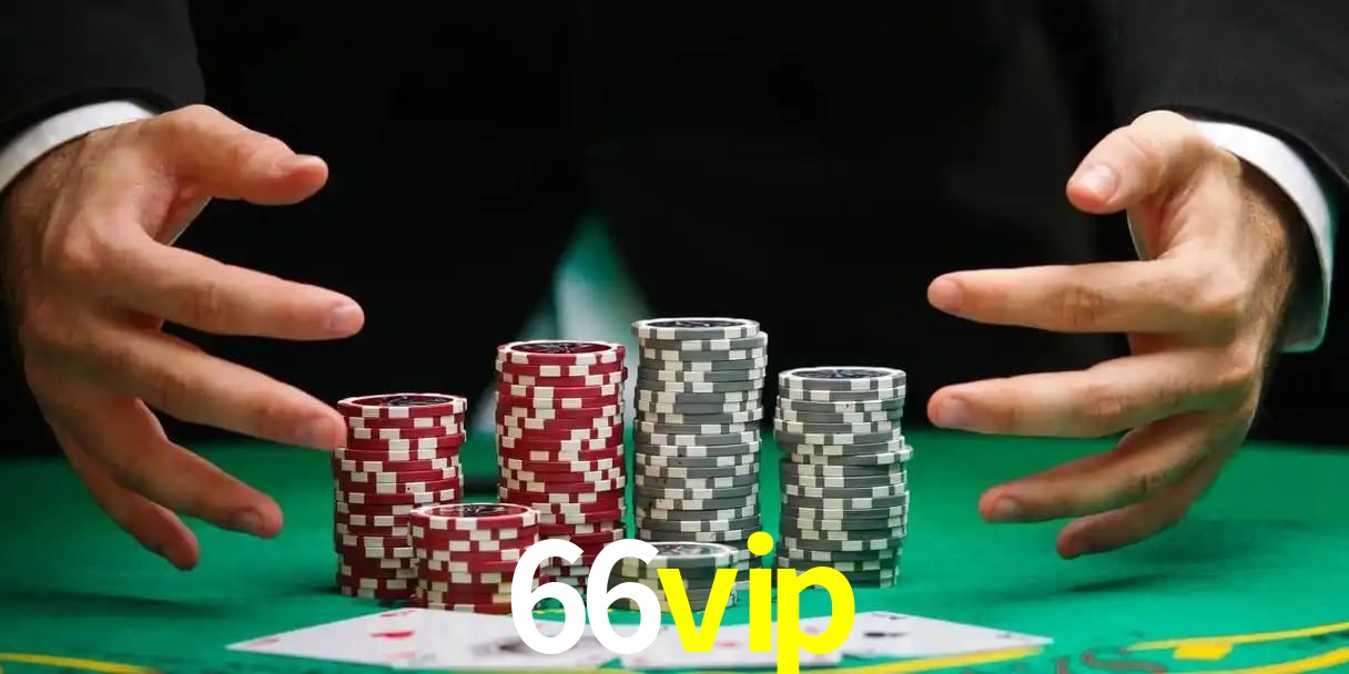 66vip